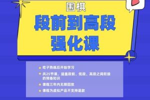 蔡立斌围棋教研室【围棋初级–段位强化课程】