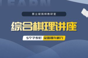 蔡立斌围棋教研室【综合棋理讲座】