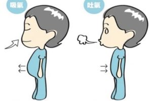 071-呼吸系列课程一Embodied Breath具身呼吸-百度云网盘资源分享