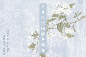 月升绘馆国画基础课-百度云网盘资源分享
