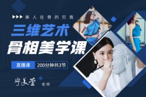 068-三维艺术骨相美学课（宁美莺老师亲授）-百度云网盘资源分享【完结】