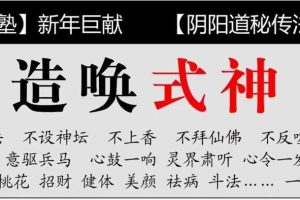 雷麟宗私塾人造式神​
