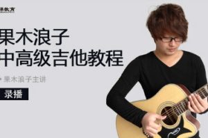 果木浪子中高级吉他教学-百度云网盘资源分享