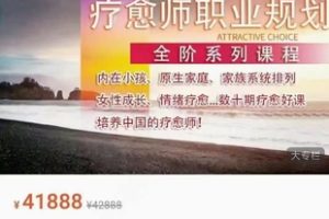 （安珊）【私人定制高阶课程】疗愈师职业规划课程：培养中国的疗愈师！-百度云网盘资源分享【完结】