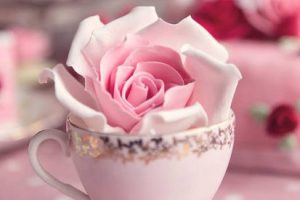 大师课程 亲密关系和性的意识与灵性发展(阿兰·欧肯)-百度云网盘资源分享