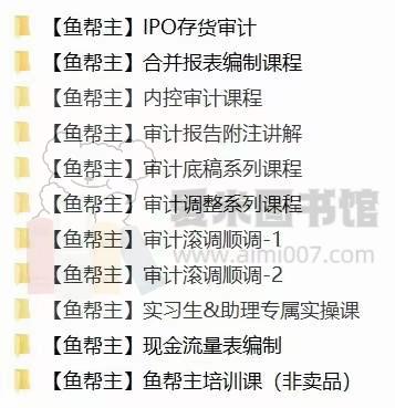 审计实操课程【审计鱼帮主】
