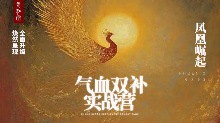 迷罗亲讲 气血双补特练营