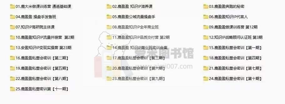 鹿盈盈私董会密训第十期