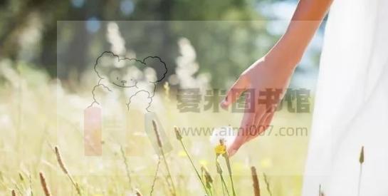 心菩提《颂钵疗愈与身心灵整合》