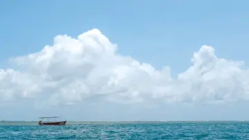 生物信息出版级绘图