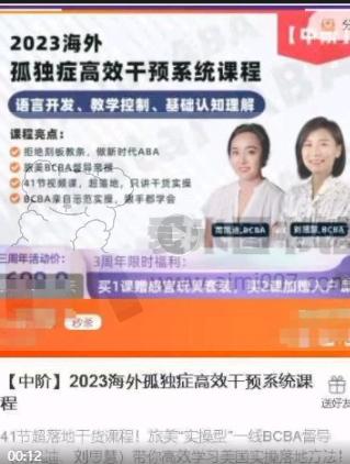 周凯迪 刘思慧【中阶】2023海外孤独症高效干预系统课程