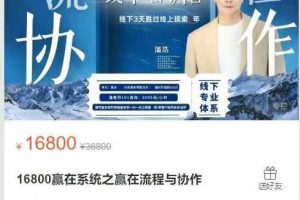 16800赢在系统之赢在流程与协作