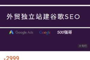 500强外贸实战营-外贸独立站谷歌SEO保姆级教程