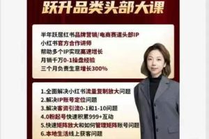 Dian内容电商-小红书如何通过内容+矩阵 跃升品类头部大课