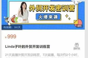 Linda子叶的外贸开发训练营
