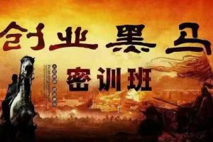 人性商战《创业黑马密训班》