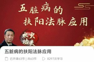 傅文录 五脏病的扶阳法脉应用，全63讲音频+视频