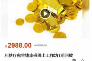 凡默疗愈金钱丰盛线上工作坊1期回放