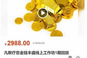 凡默疗愈金钱丰盛线上工作坊1期回放