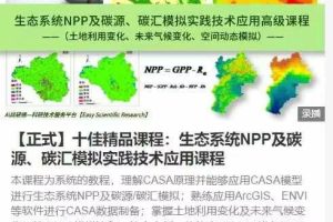 叮叮开课 -【正式】十佳精品课程：生态系统NPP及碳源、碳汇模拟实践技术应用课程