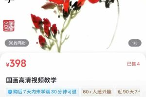 国画高清视频教学