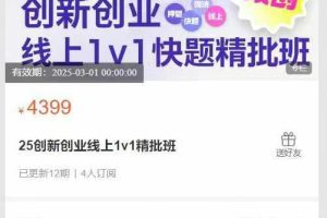 外星人设计studio-25创新创业线上1v1精批班