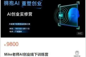 心灵家园课程-Mike老师AI创业线下训练营