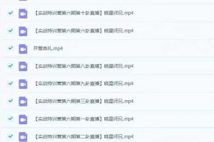 文易复兴2023第六期实战特训营直播案例讲解12集（视频课）