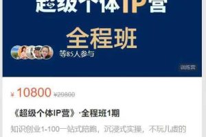 新精英生涯-《超级个体IP营》·全程班1期