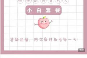 桃桃语言Bar私人定制套餐