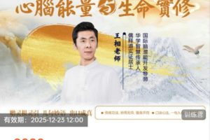 王相师父《心脑能量与生命实修2.0》