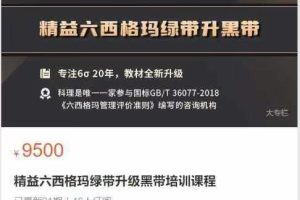 科理云学堂-精益六西格玛绿带升级黑带培训课程