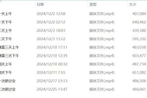 翁子奇老师-2024年11月奇门遁甲大师课