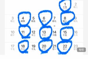 肩背修复与重组(12节)XK