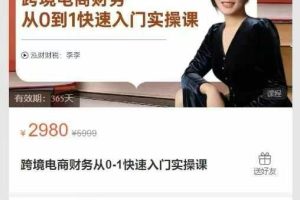 跨境电商财务从0-1快速入门实操课