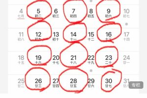 身体修复与重组（12节）XK