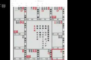 【紫微斗数】赋棋-紫薇斗数二期32集  