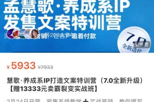 慧歌·养成系IP打造文案特训营（7.0全新升级）【赠13333元卖霸裂变实战班】 X