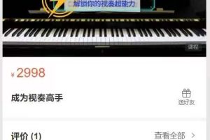 成为视奏高手（203节课，6个资料）