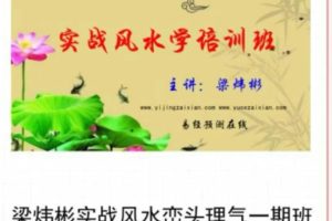 梁炜彬实战风水峦头理气一期班（28节）