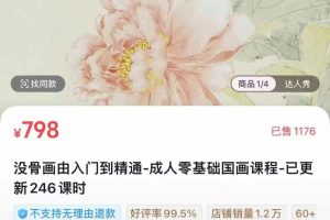 没骨画由入门到精通-成人零基础国画课程-已更新246课时
