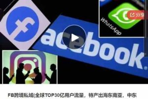 FB跨境私域(全球TOP30亿用户流量，特产出海东南亚，中东COD回款）