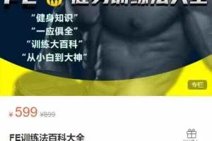 FE训练法百科大全