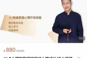 NLP心理指导师初级班心理成长线上视频课