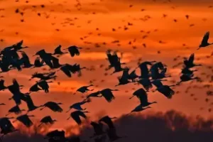 【会员专享】统计计量（张敬信老师主讲）