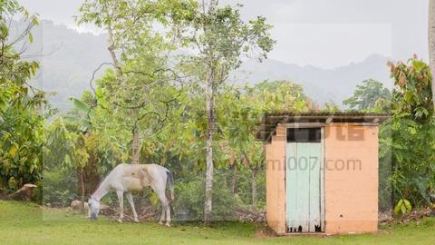 生物信息入门之 Linux