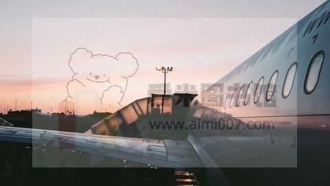 生物信息入门之高通量测序原理