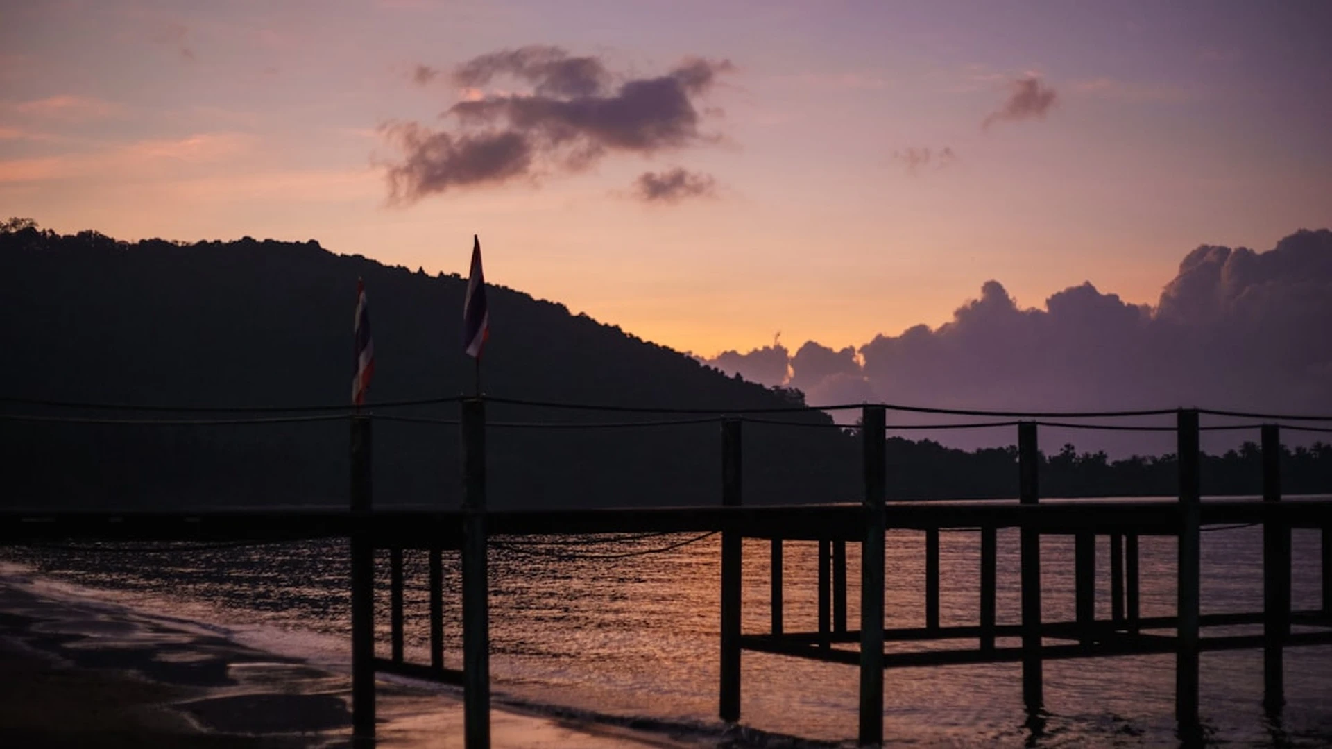 给生物专业的 Python 编程课