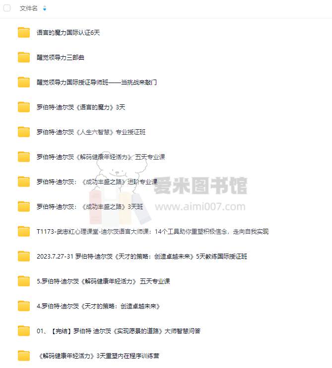 罗伯特迪尔茨课程