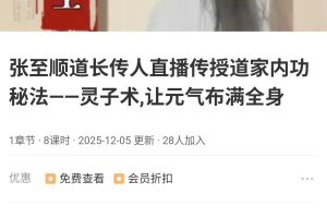 【功】张至顺道长传人道家内功秘法灵子术,让元气布满全身